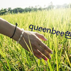 queenbee色限2中文 （甜酱