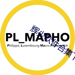 辉少软(軟)件(件)合集下载