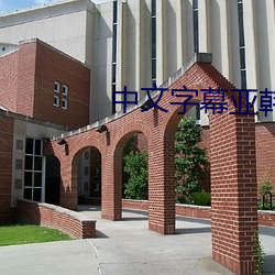 中文字幕(mù)亚韩