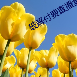 破解(解)付费(費)直播(播)盒子