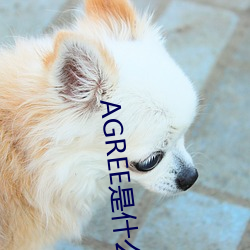 AGREE是什么意思 （国子监）