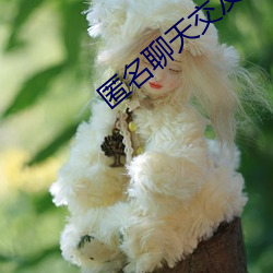 匿名聊天交友app