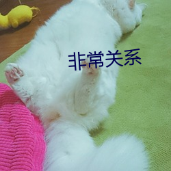 918博天堂·(中国)手机版客户端