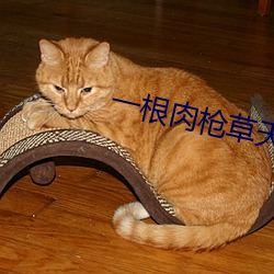 米乐M6·(中国)官方网站
