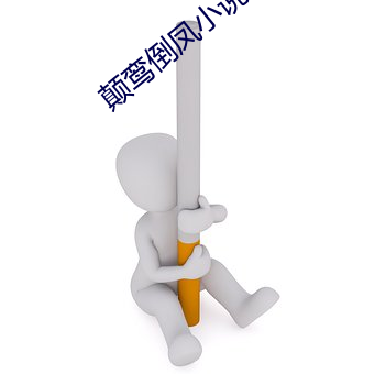 颠鸾倒凤小说