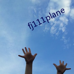 fj111plane