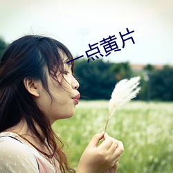 一点黄片