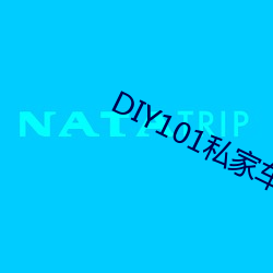 DIY101私家車app下載