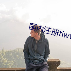 国(國)内注册(冊)tiwwer