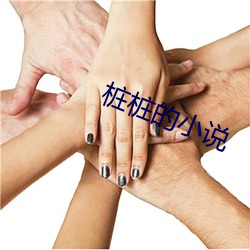 桩(zhuāng)桩的小说