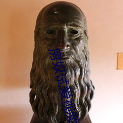 房(房)奴试爱(愛)视频(頻)播(播)放