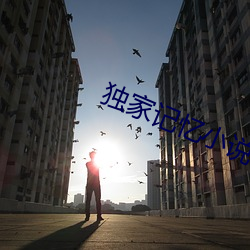 独家记忆小说