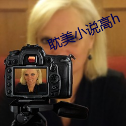 耽美小说高(gāo)h