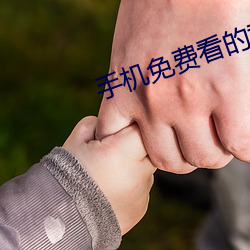 手机免费(fèi)看的黄色(sè)网(wǎng)站