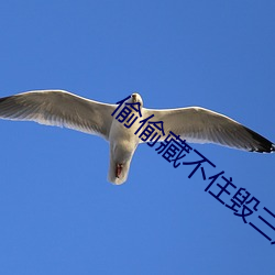 偷偷藏不住毀三觀