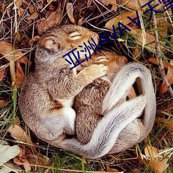 亞洲AVAⅤ天堂AV在線觀看