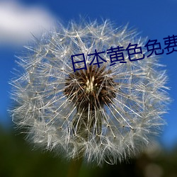 日本黃色免費下載