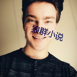 狼群小说