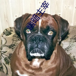 幽暗主宰