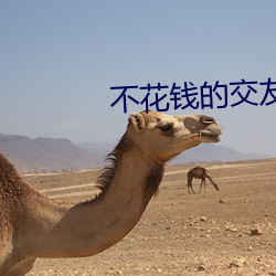 欧博abg - 官方网址登录入口