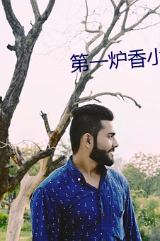 第一炉(lú)香小说