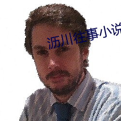 沥川(川)往事(事)小说