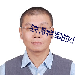 独臂将军的小公主