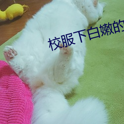 校服下白嫩的小乳
