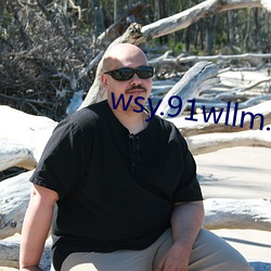 wsy.91wllm.com