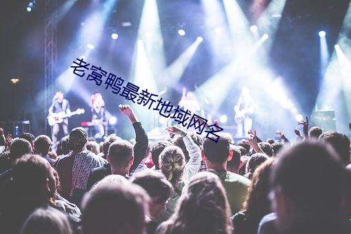 老窝鸭最新地域网名