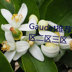 Gaudet推薦!國産盜攝91精品一區二區三區