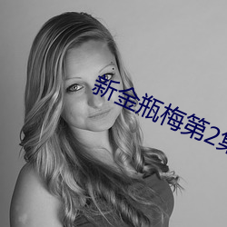 新金瓶(瓶)梅第(第)2集(集)