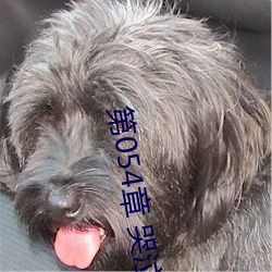 第054章 哭泣人妻