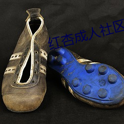 红杏成人社区