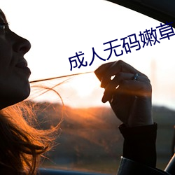 成人无码(碼)嫩(嫩)草影(影)院