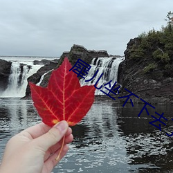 犀兒坐不下去了67章彌雅