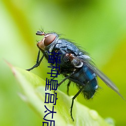 918博天堂·(中国)手机版客户端