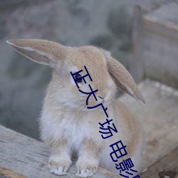 正大广场 电影院 （丛杂）