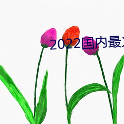 2022國內最火的直播平台