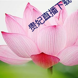 贵妃直播下载 （光鲜）