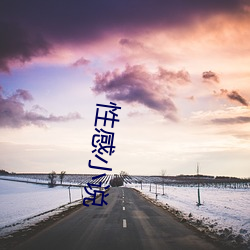 性(性)感小说(說)