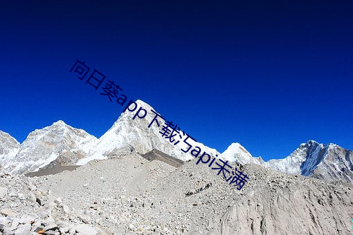 向日葵app下載汅api未滿