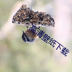 918博天堂·(中国)手机版客户端