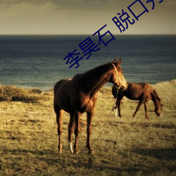 李(李)昊(昊)石(石) 脱口秀