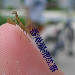 香港爱情故事
