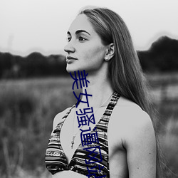 美女(女)骚逼网站下(下)载(載)