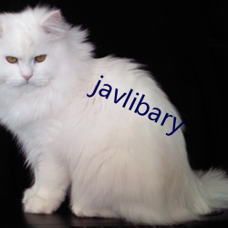 javlibary