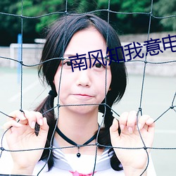 南风知我意电视剧免费观看