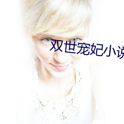 双世宠妃小说