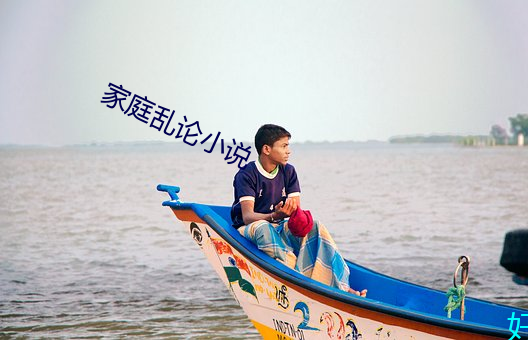 家庭乱论小说